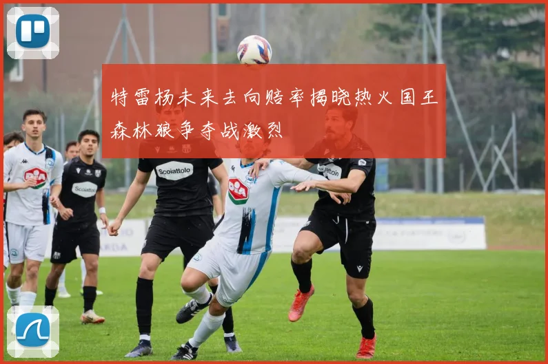 特雷杨未来去向赔率揭晓热火国王森林狼争夺战激烈