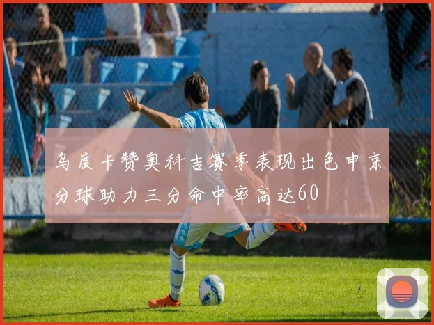 乌度卡赞奥科吉赛季表现出色申京分球助力三分命中率高达60