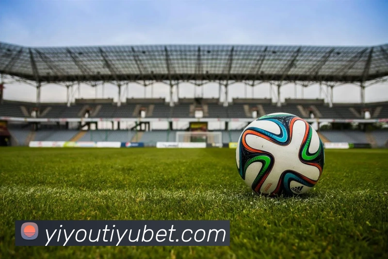 易游体育平台生态图