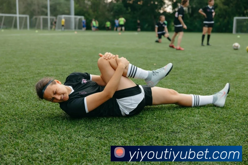 易游体育全站App